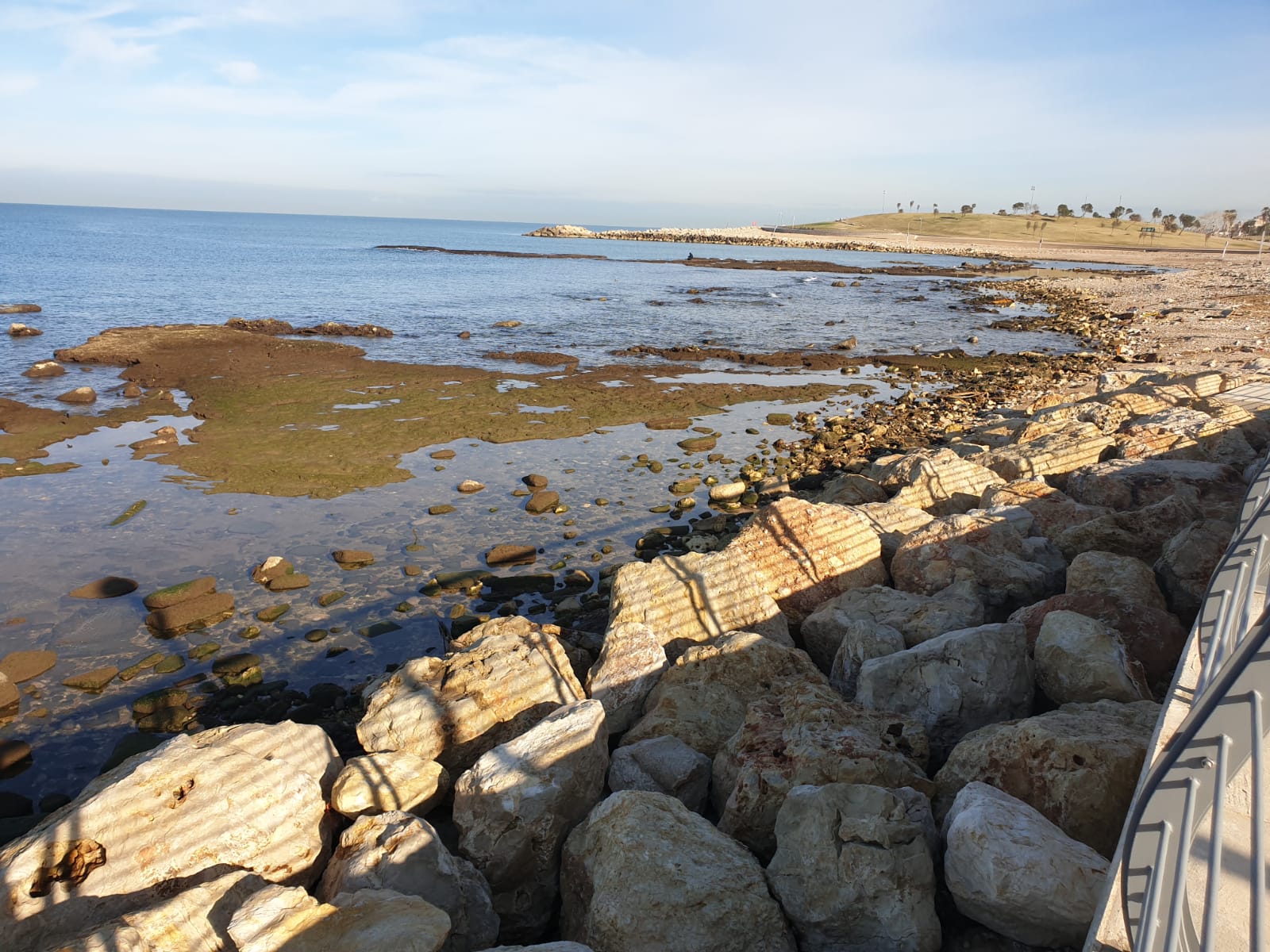 WhatsApp Image 2020-01-27 at 9.00.49 AM (2).jpeg.jpeg